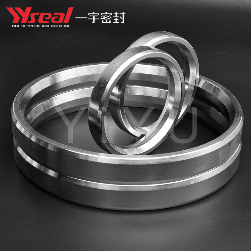 RX stainless steel gasket